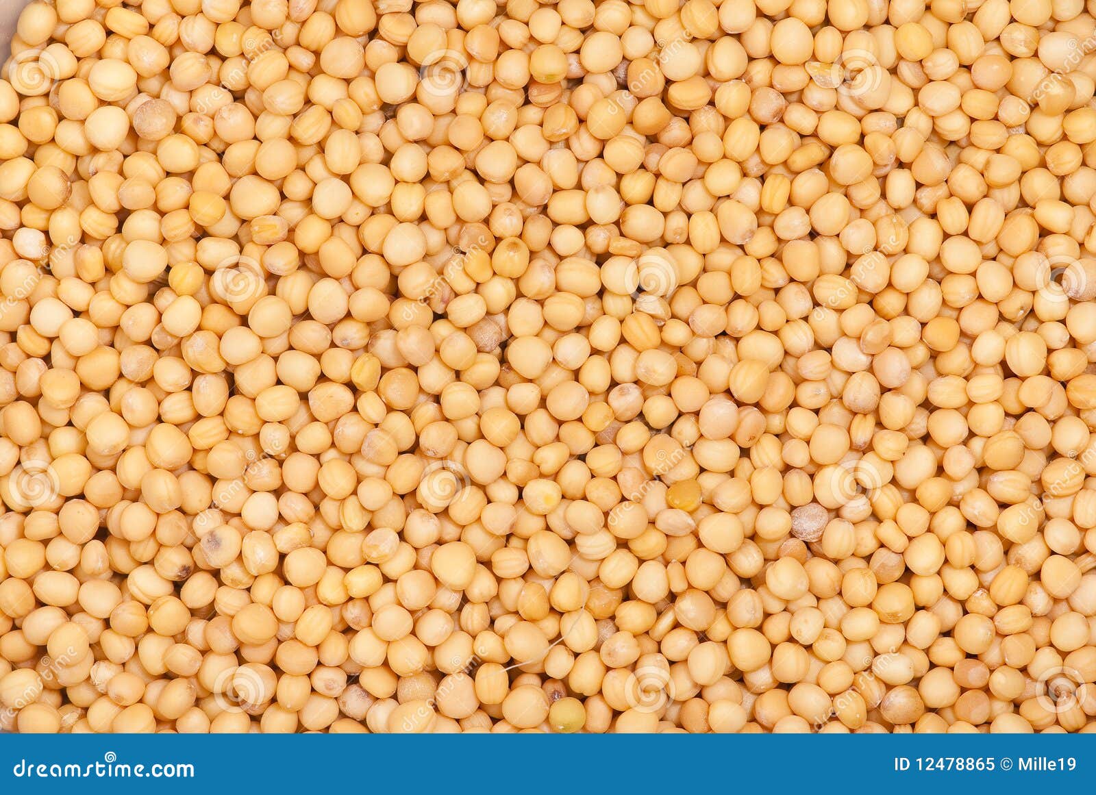 Mustard Seed background stock image. Image of kitchen 12478865