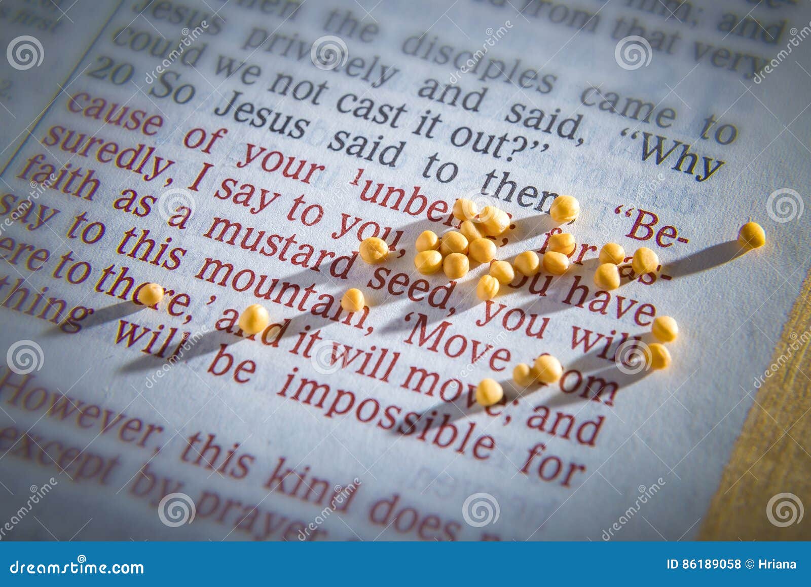 mustard seed faith clipart