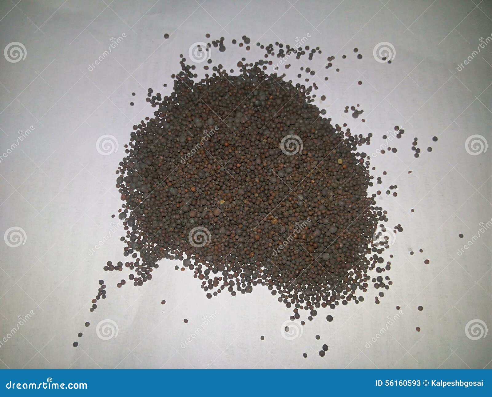 Mustard seed stock image. Image of aavalu, kadugu, round 56160593