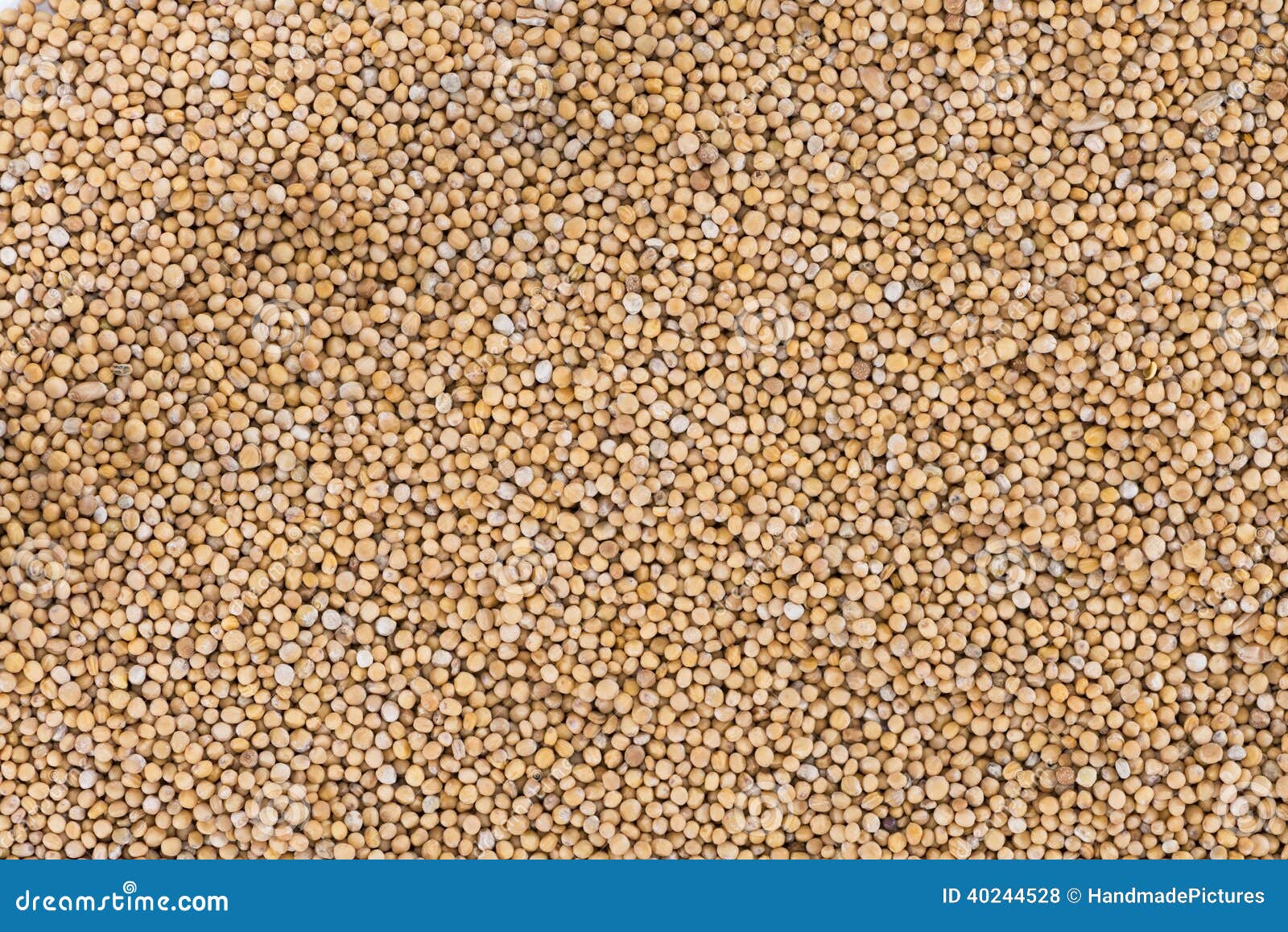 Mustard Seeds (background) stock photo. Image of dressing - 40244528