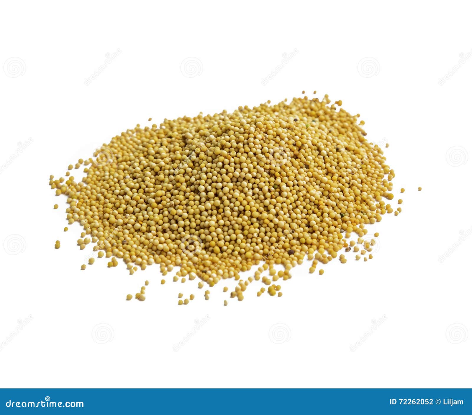 Mustard seeds stock photo. Image of scoop, closeup, background 72262052