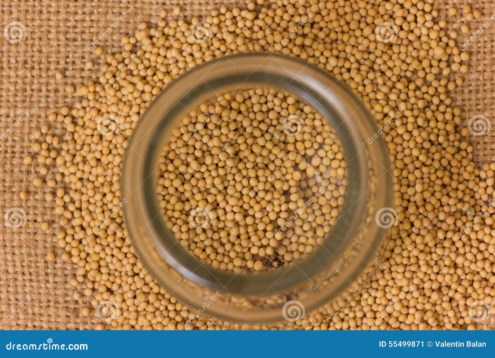Mustard Seeds in a jar stock image. Image of closeup 55499871