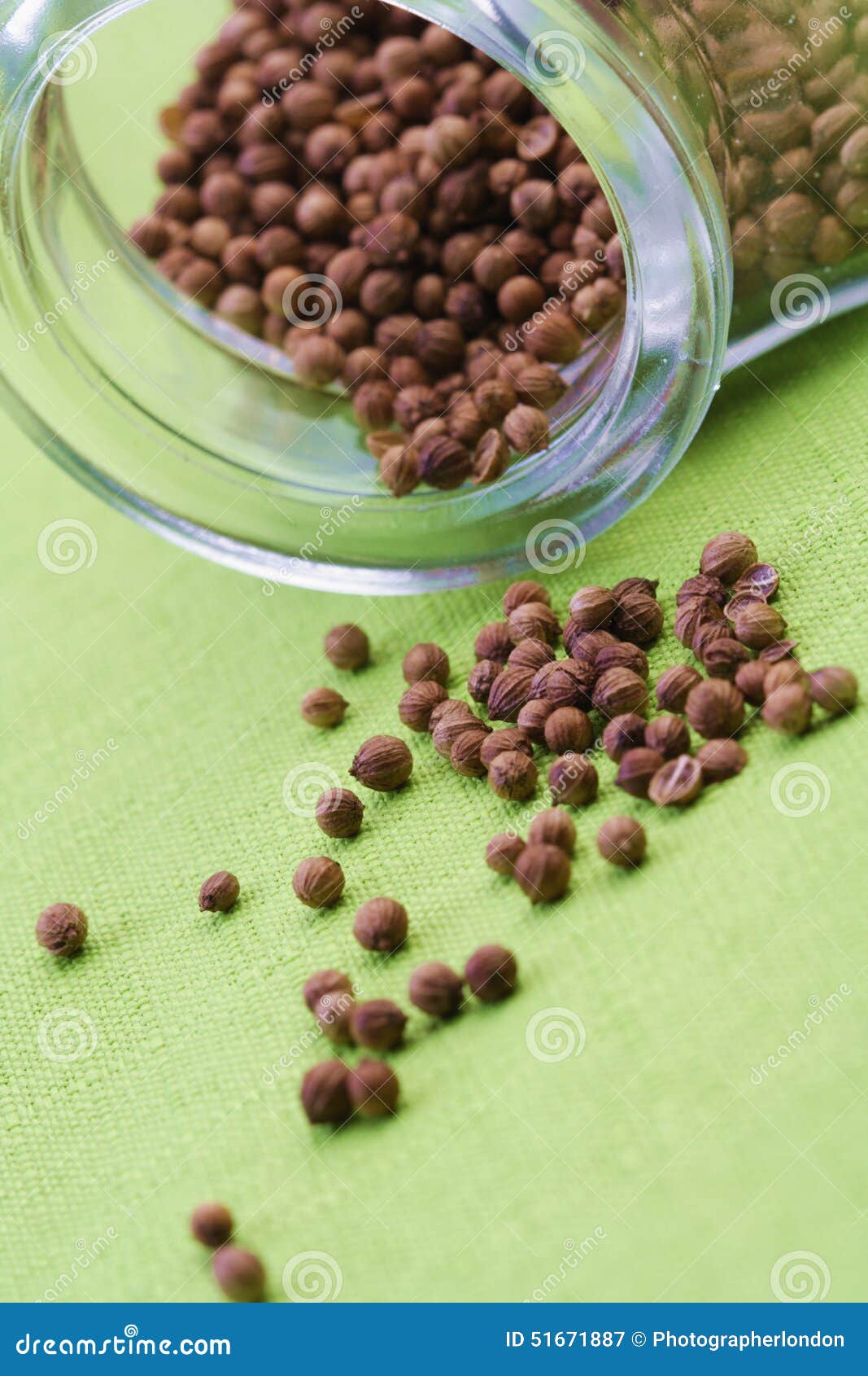 Mustard Seeds in Jar Studio Shot Stock Image Image of herb, flavor