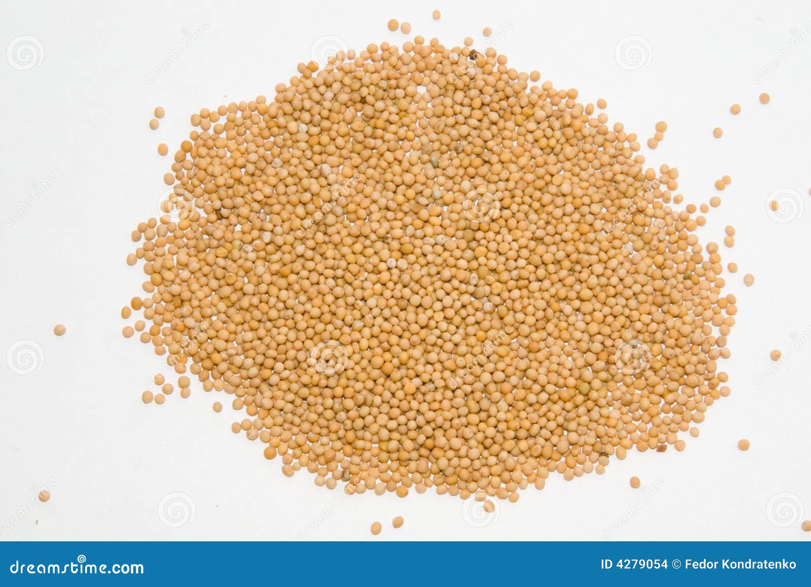 Mustard Seeds on Light Background Stock Photo Image of food