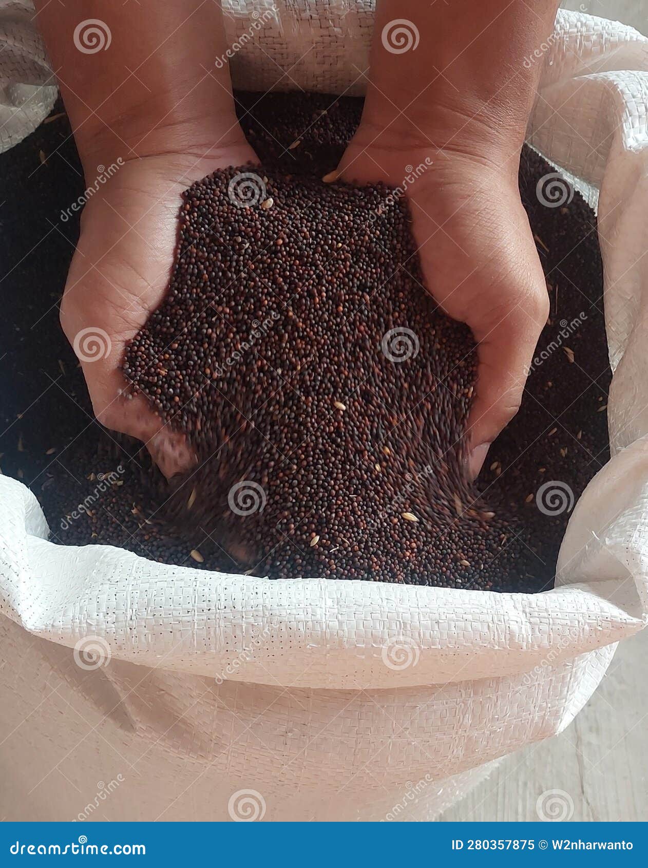 Mustard Seeds for Pet Birds Stock Image Image of mustard, seeds 280357875