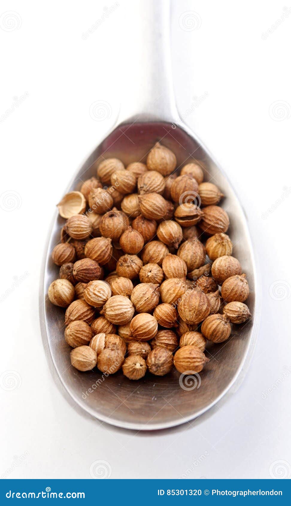 Mustard seeds on a spoon stock photo. Image of ball, cooking 85301320