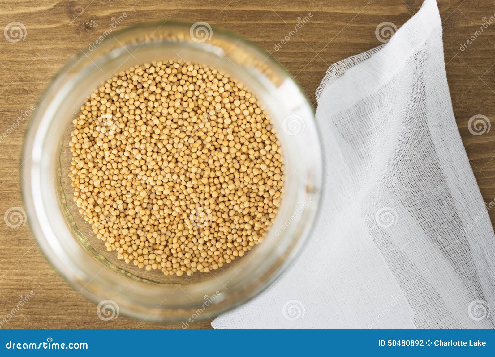 Mustard Seeds in Sprouting Jar Stock Photo Image of organic, seed