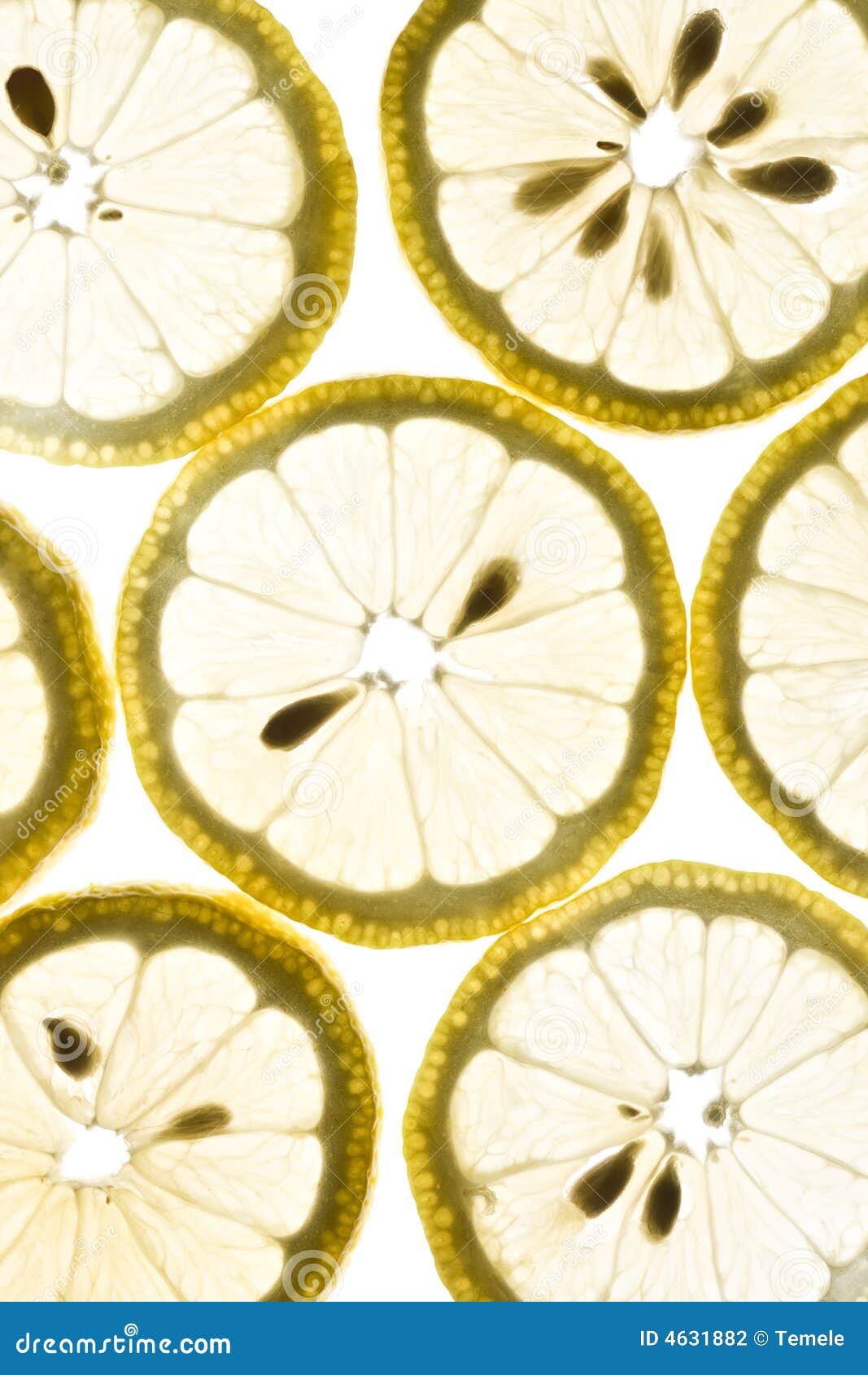 60 Stück Künstliche Zitronenscheiben - Realistische Deko Für Hochzeit & Party