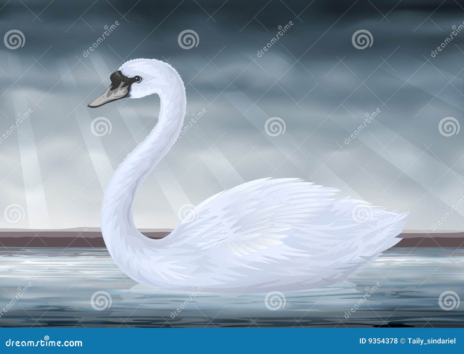 Mute Swan Cartoon Vector Illustration 61117332