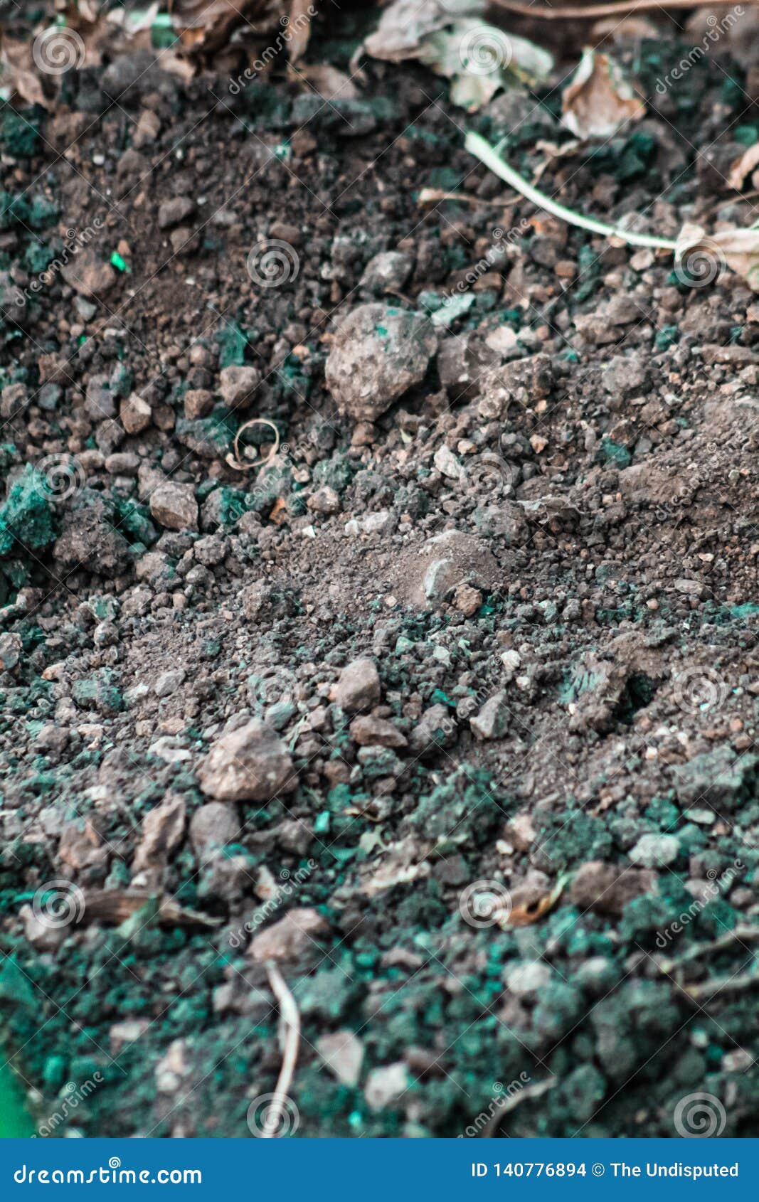 Muttererde stockfoto. Bild von oberseite 140776894