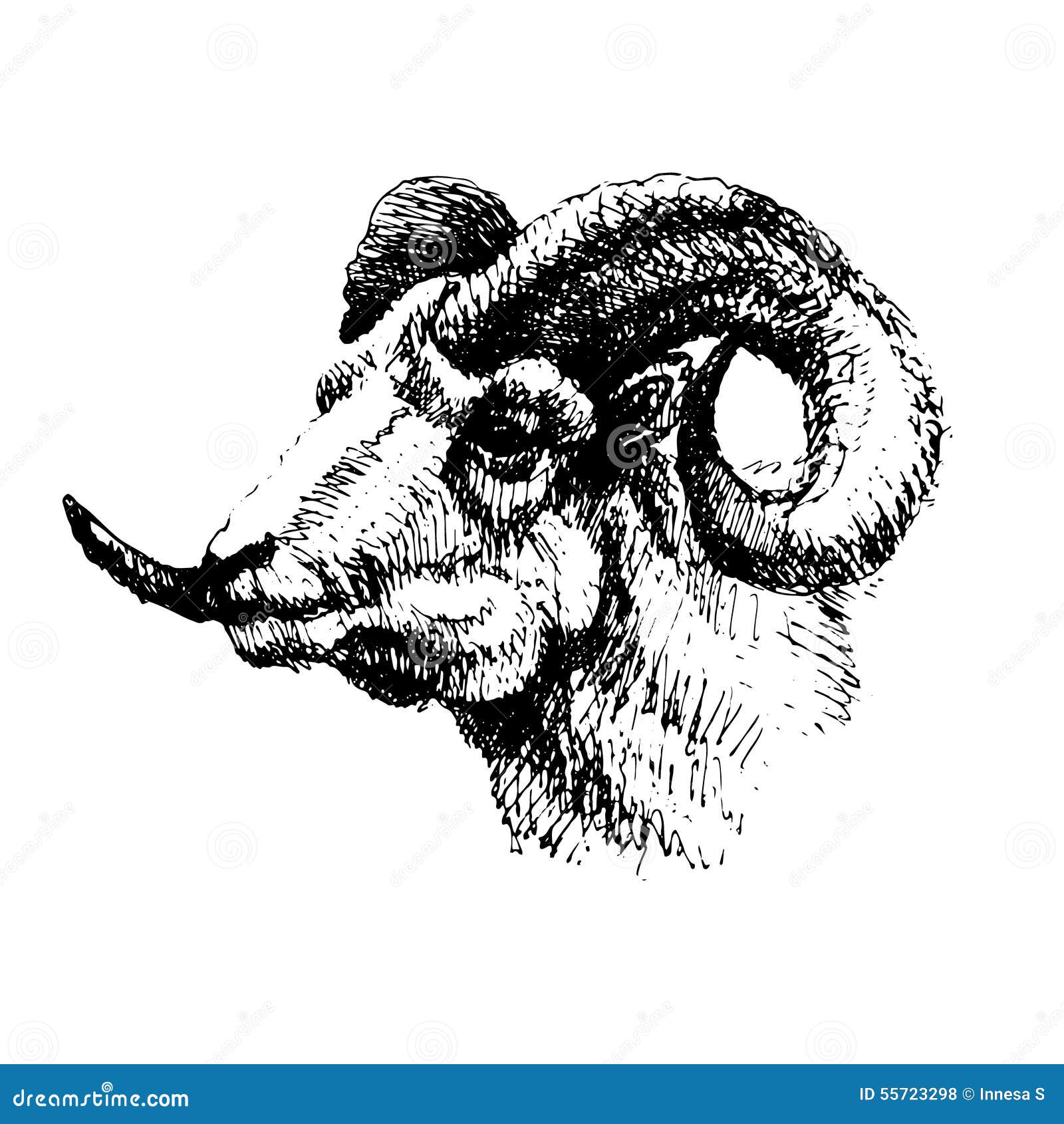 Mutton, Sheep, Hand Graphic, Black and White Stock Vector ...