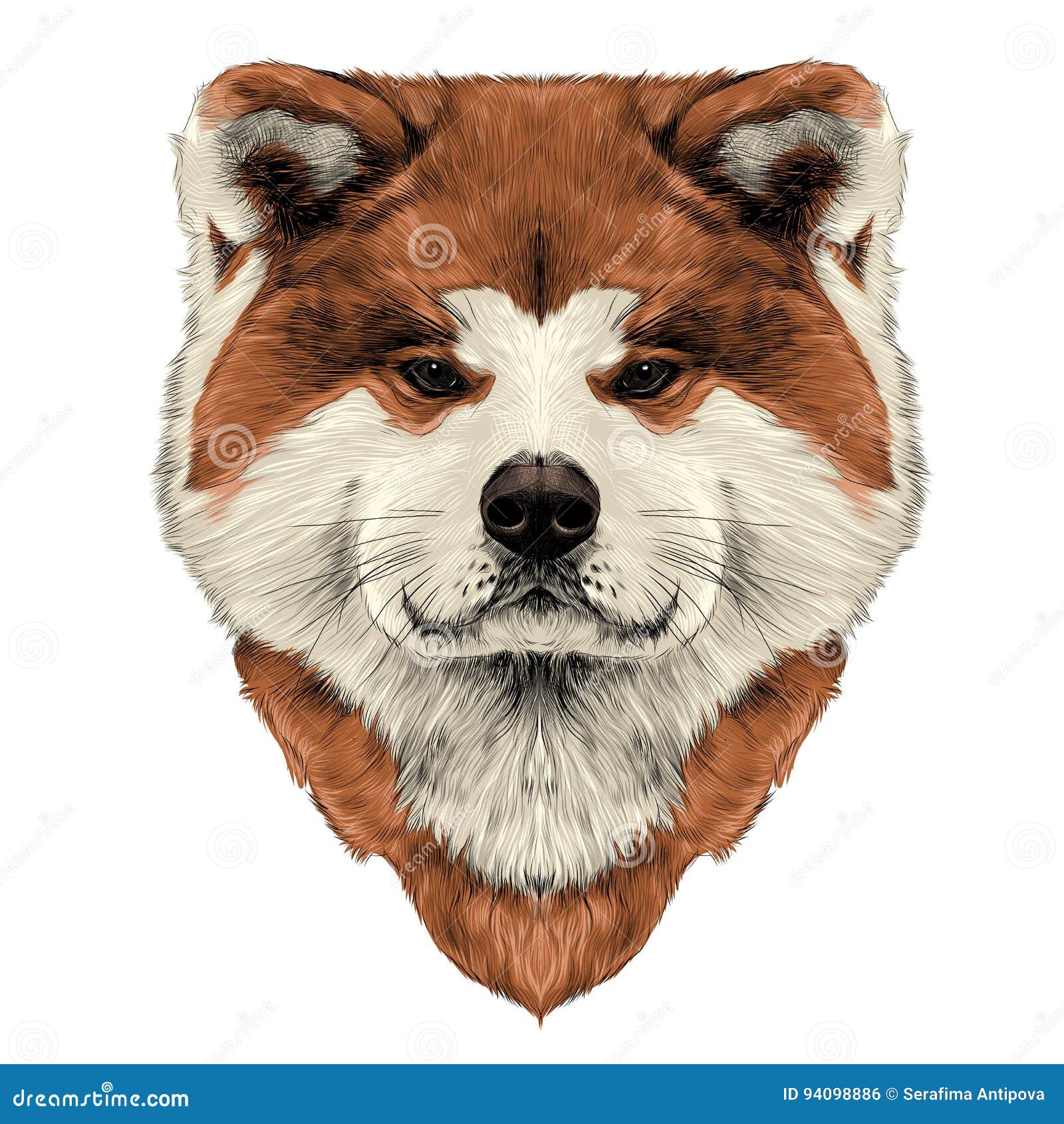 full head dog muzzle