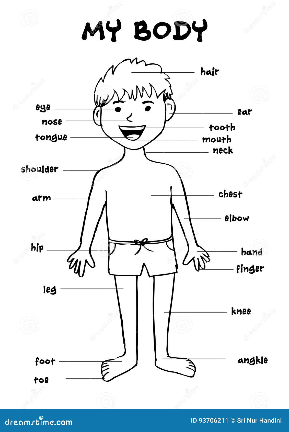 My Body`, Educational Info Graphic Chart For Kids Stock Illustration -  Illustration Of Educational, Male: 93706211