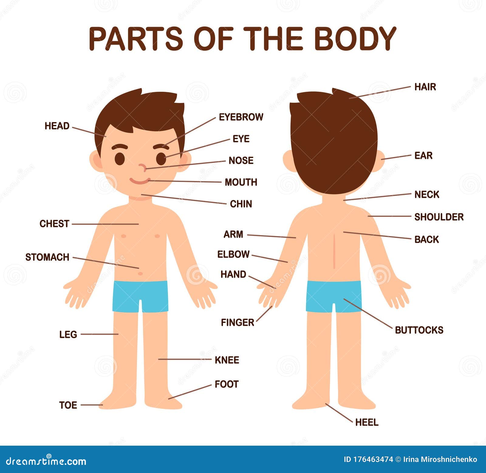 Poster The Parts of the Body boy boy mouth for children's room