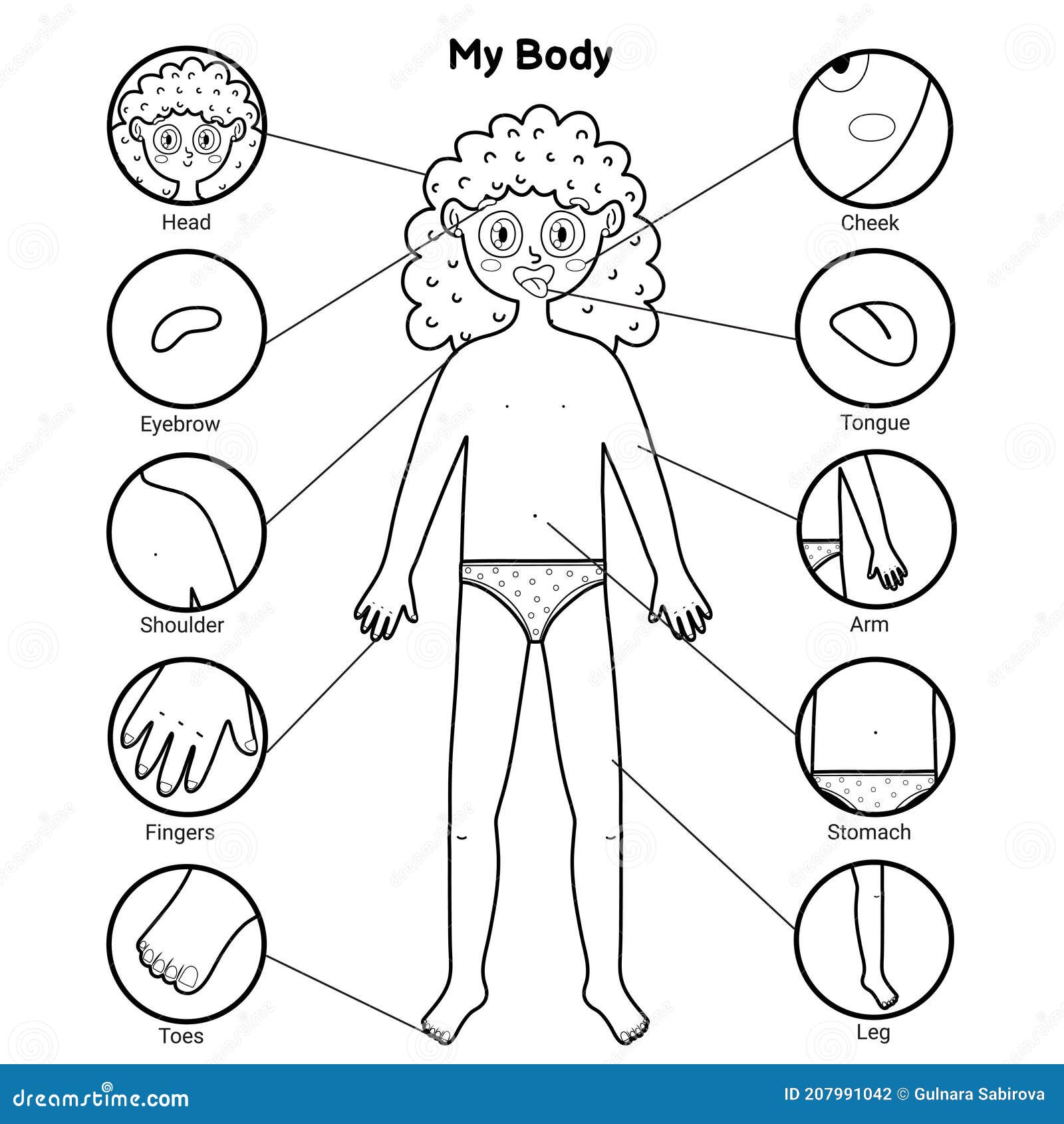 Human Body s | Body preschool, Body parts preschool, Body parts for kids