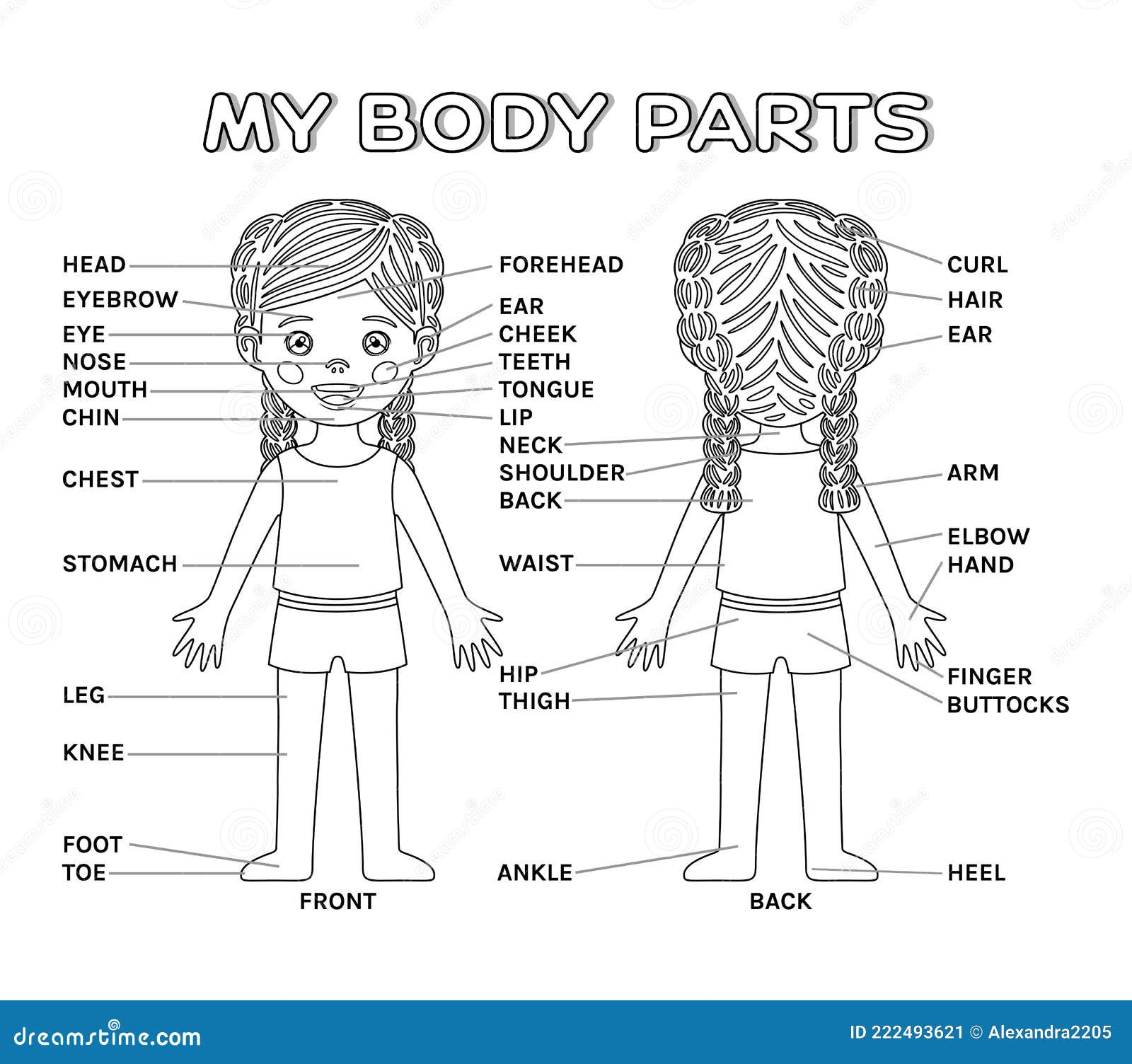 My Body Parts and Cartoon Isolated Pretty Little Girl. Poster for Education  Game with Description for Children Stock Vector - Illustration of language,  chart: 222493621