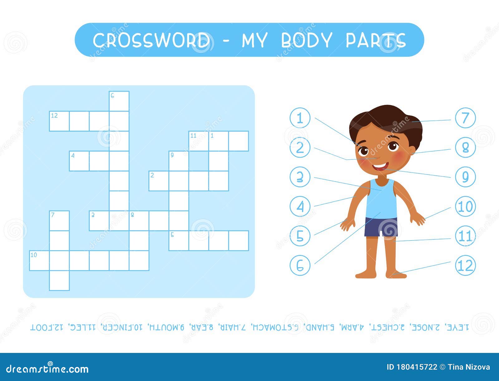 Body Template For Kids from thumbs.dreamstime.com