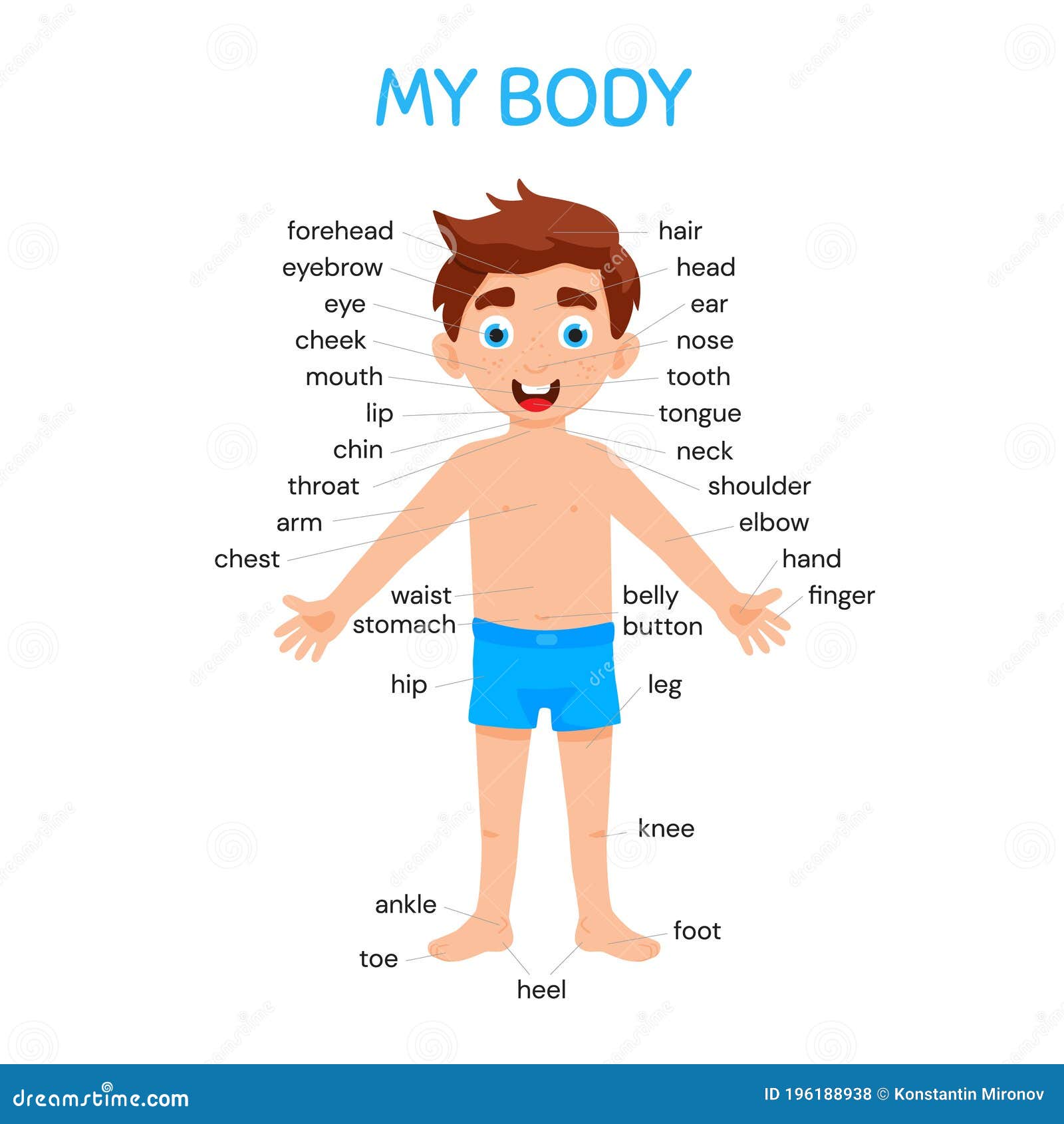 My Body Poster With Cute Kid Boy Shows His Body Parts Medical Anatomy