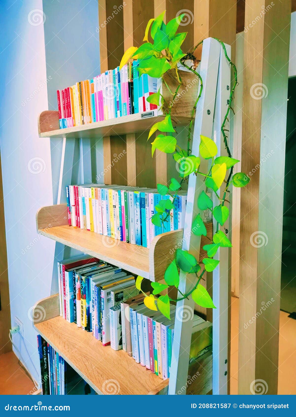 This is my book editorial photography. Image of play 208821587