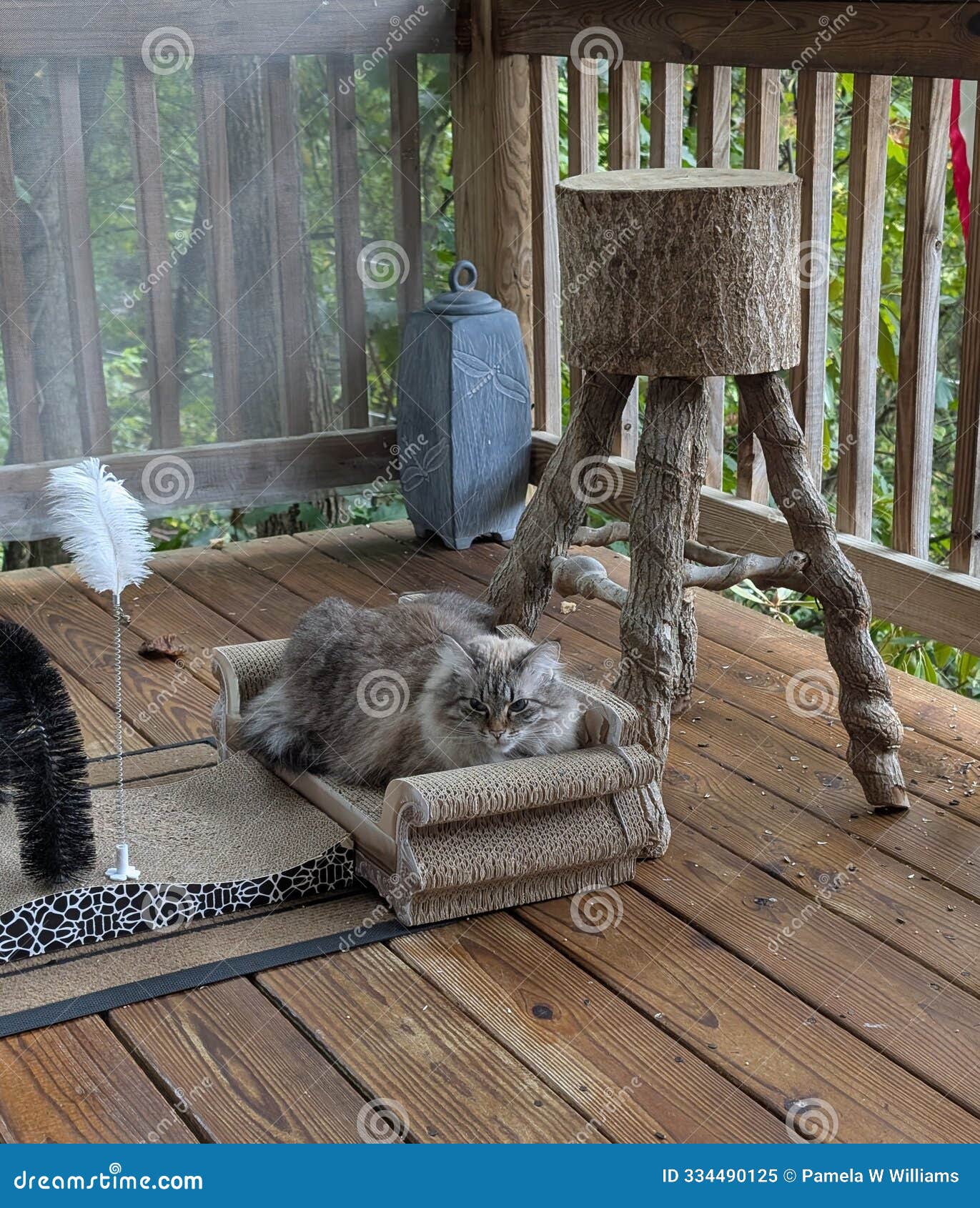 my cat snuggling up in her scratcher bed