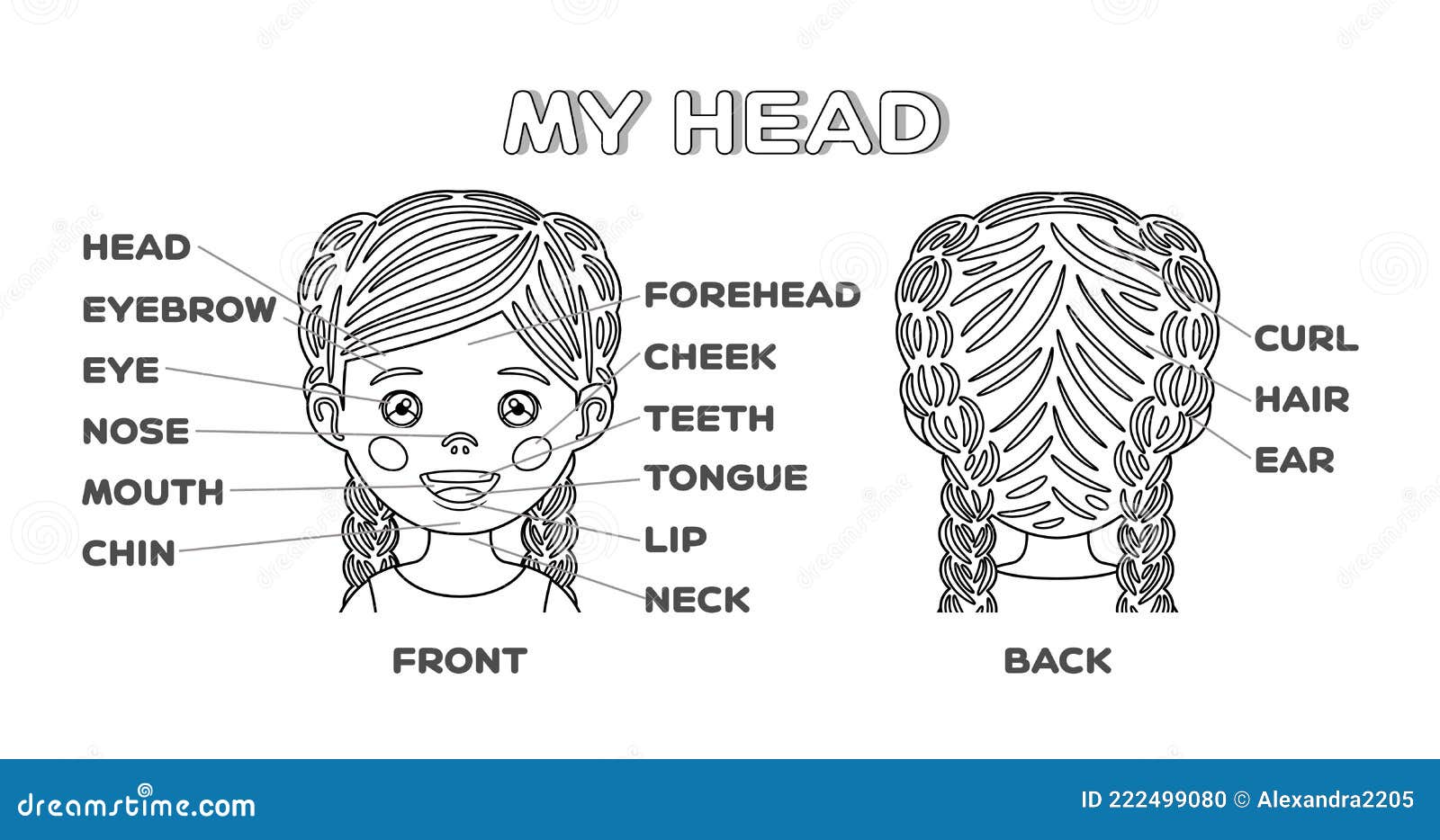 My Head, Face and Cute Cartoon Girl. Names of the Parts of the Face. Front  and Back View. Poster for Children Education. Vector Stock Vector -  Illustration of outline, cartoon: 222499080