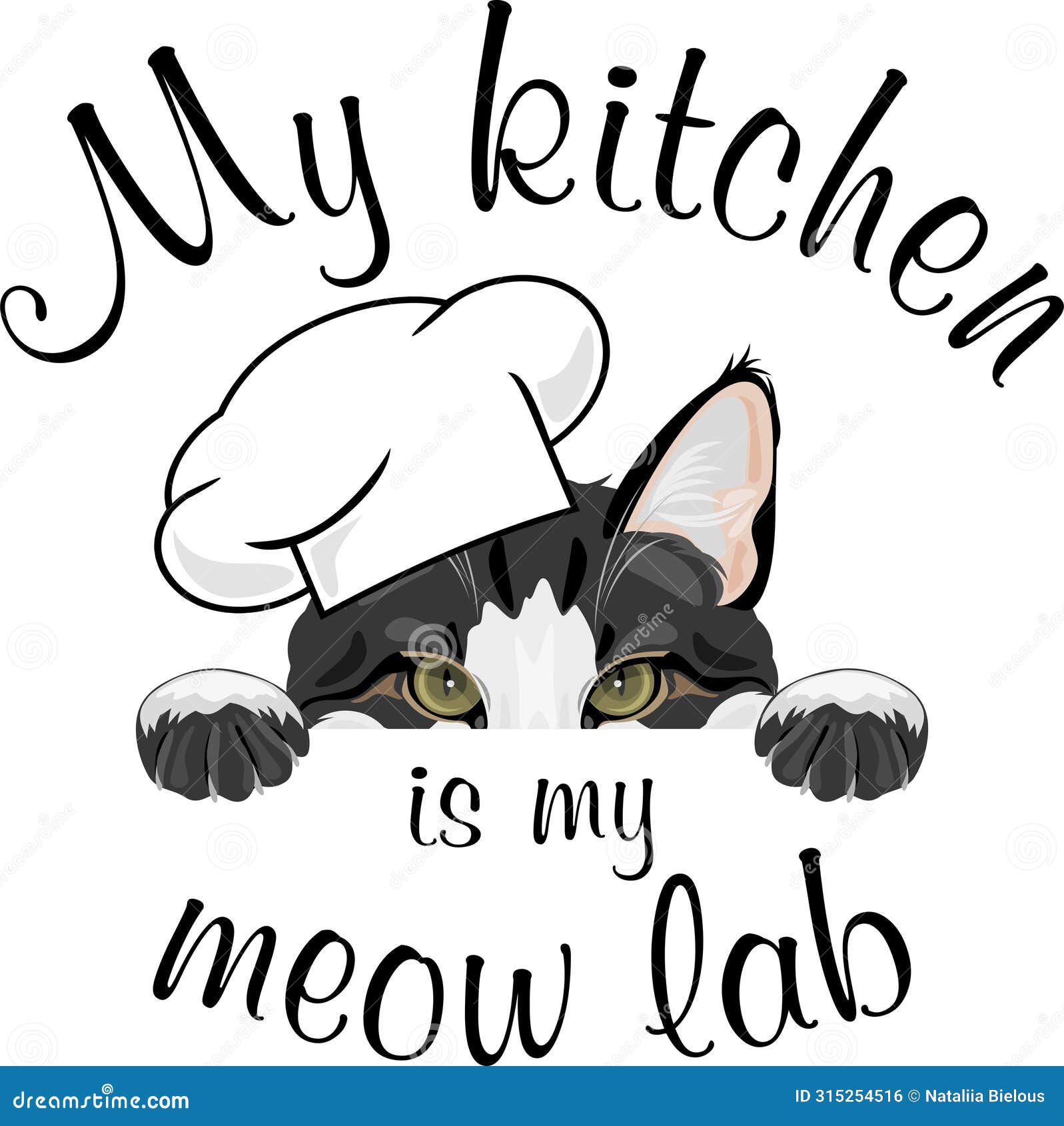 my kitchen is my meow lab