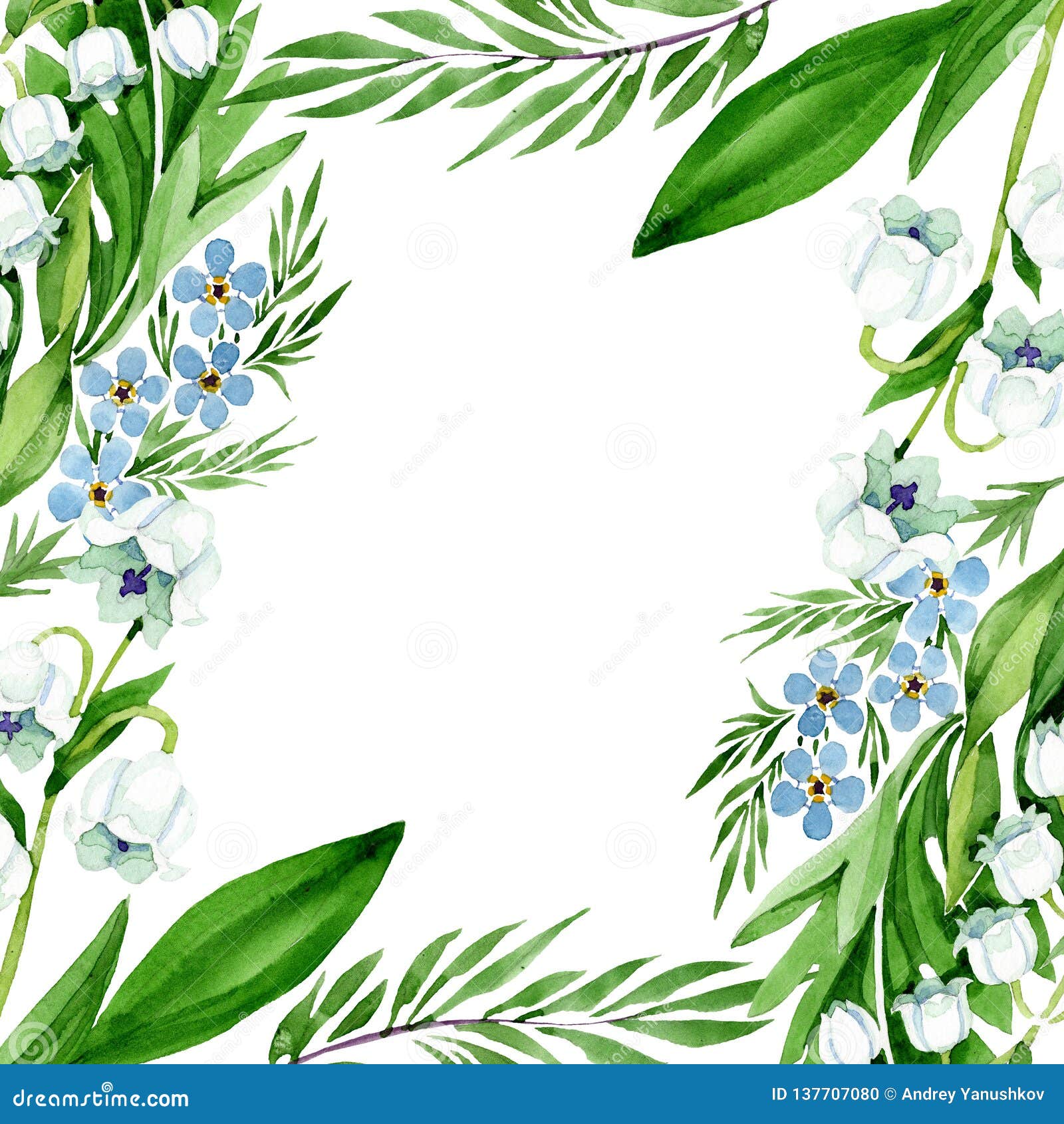 Myosotis Des Marais Et Fleurs Du Muguet Ensemble D'illustration De Fond D' aquarelle Place D'ornement De Frontière De Vue Illustration Stock -  Illustration du coin, drapeau: 137707080