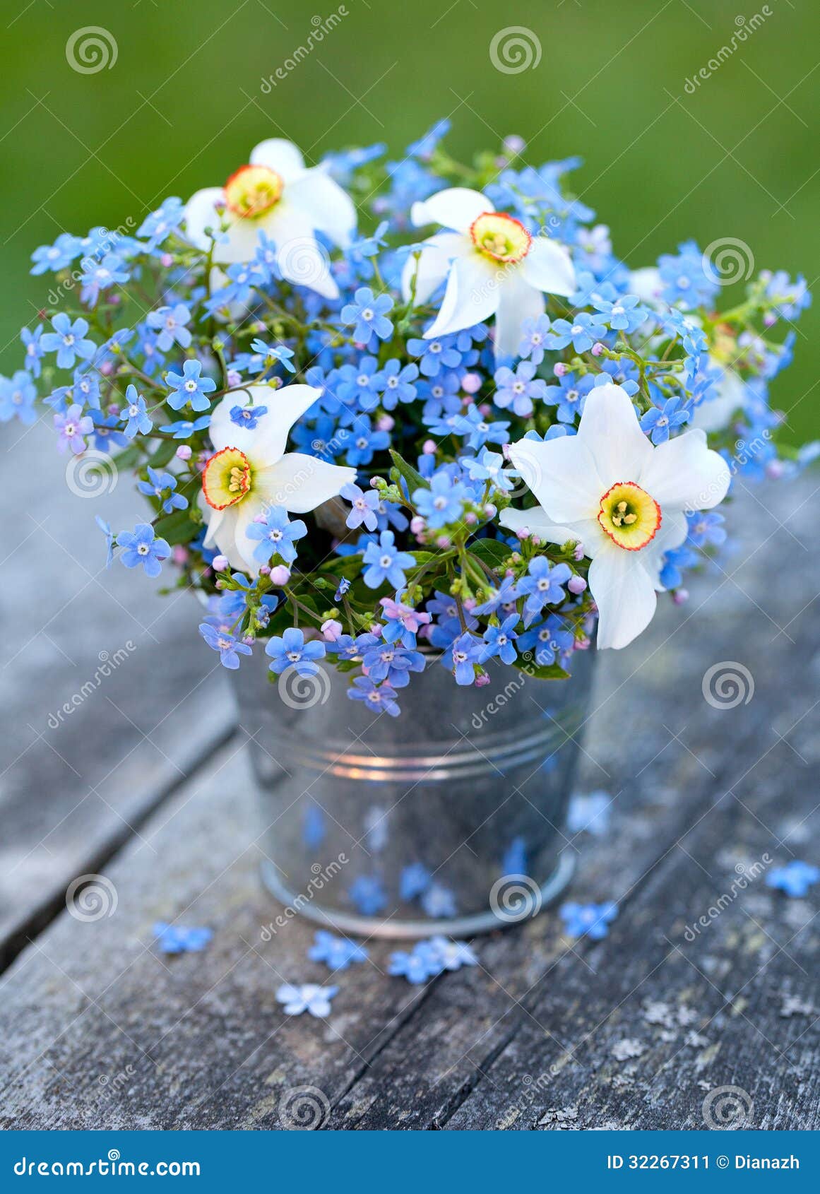 Myosotis Et Fleurs De Narcisse Image stock - Image du fleur, centrale ...