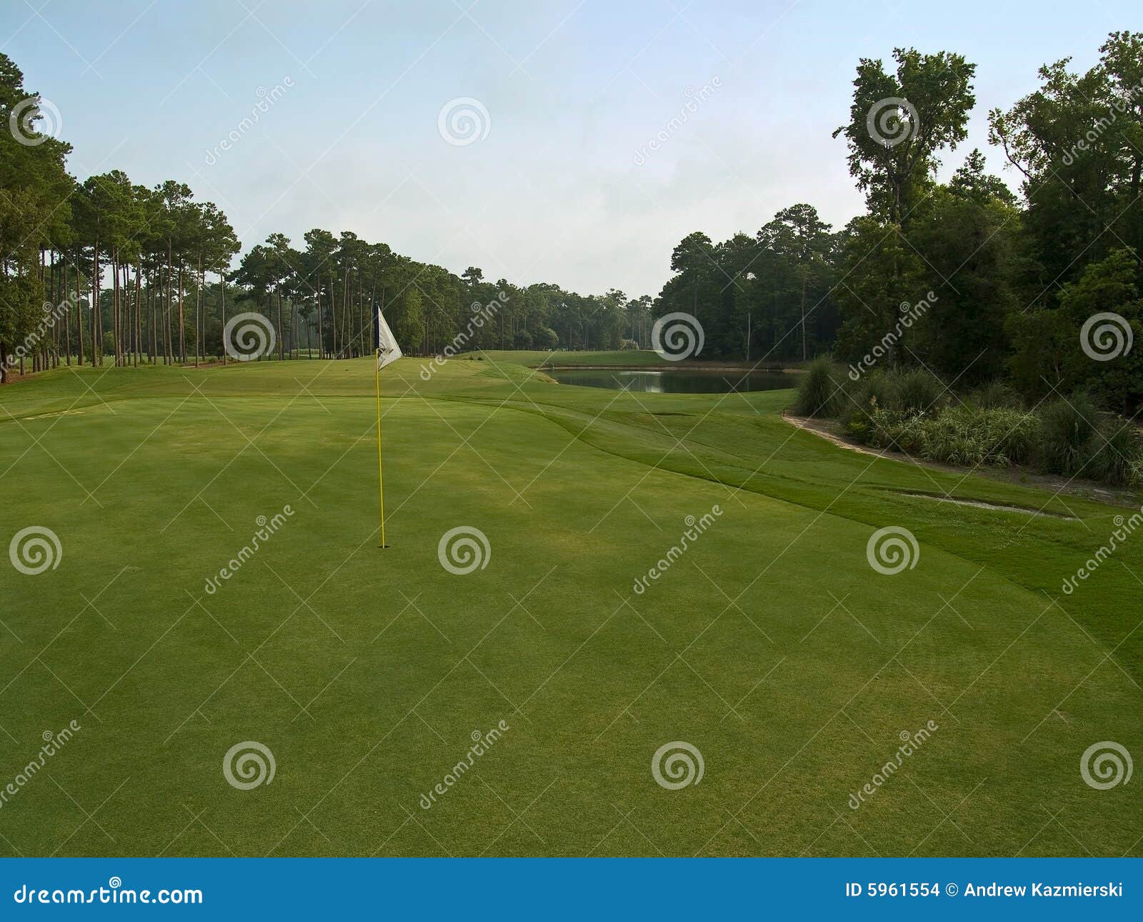 Myrtle Beach Golf stock photo. Image of carolina, putt 5961554