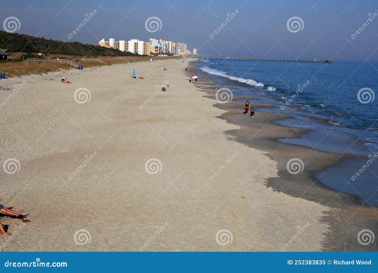 Myrtle Beach State Park, South Carolina Editorial Image Image of