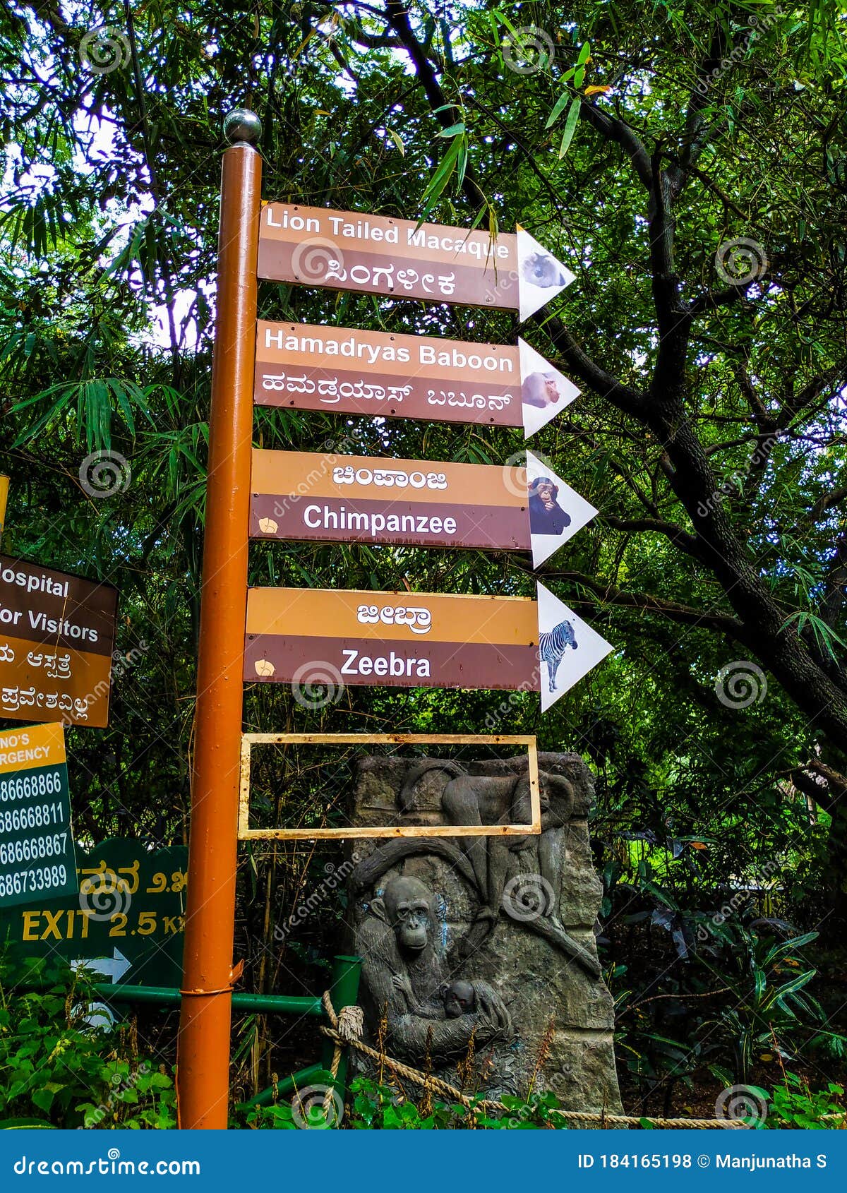 Closeup of Zoo Path and Animals Location Directions, Sign and Symbol in  Mysore Zoo. Animal Names in a Kannada and English Language Editorial Stock  Photo - Image of garden, concept: 184165198