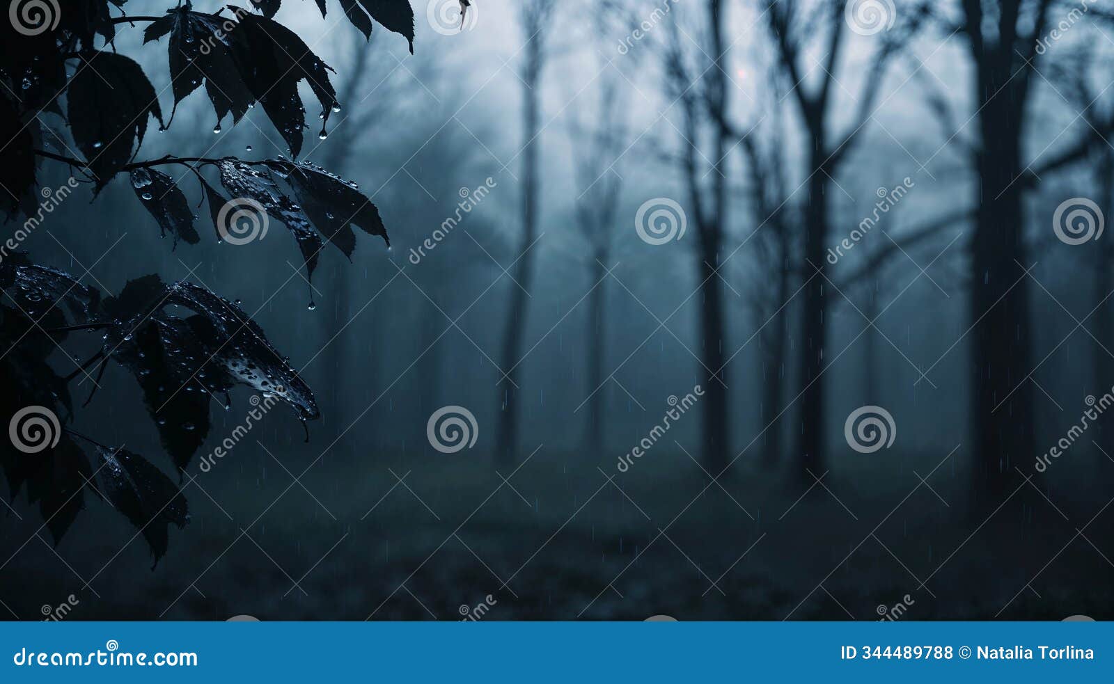 mysterious fog and rain create an eerie atmosphere in a secluded forest at twilight