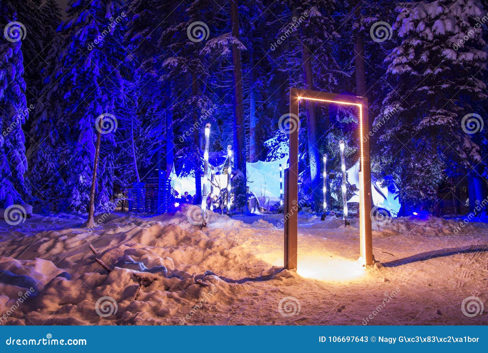 mysterious forest in lenzerheide, switzerlnad.light show in winter landscape