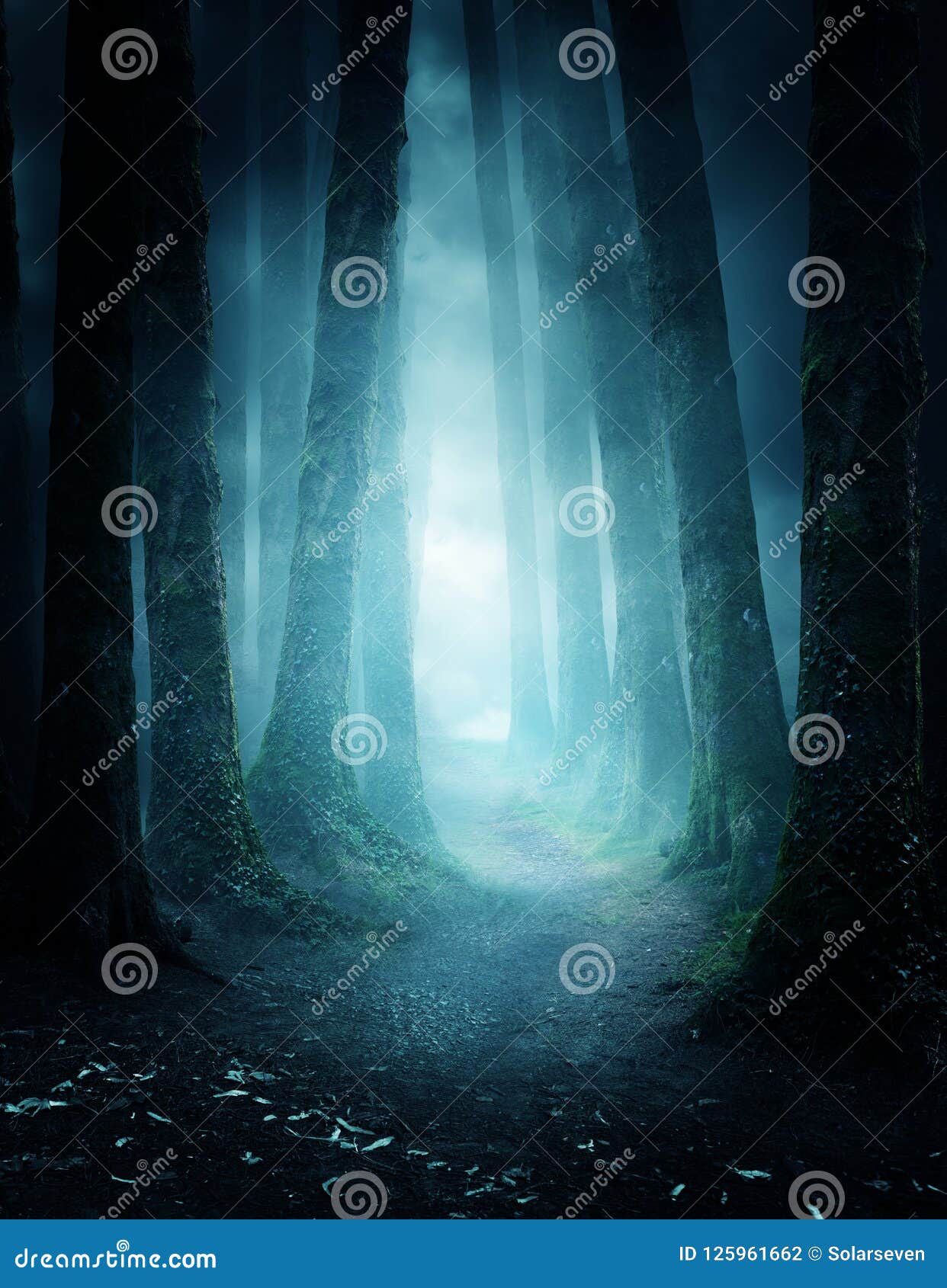 mysterious forest pathway