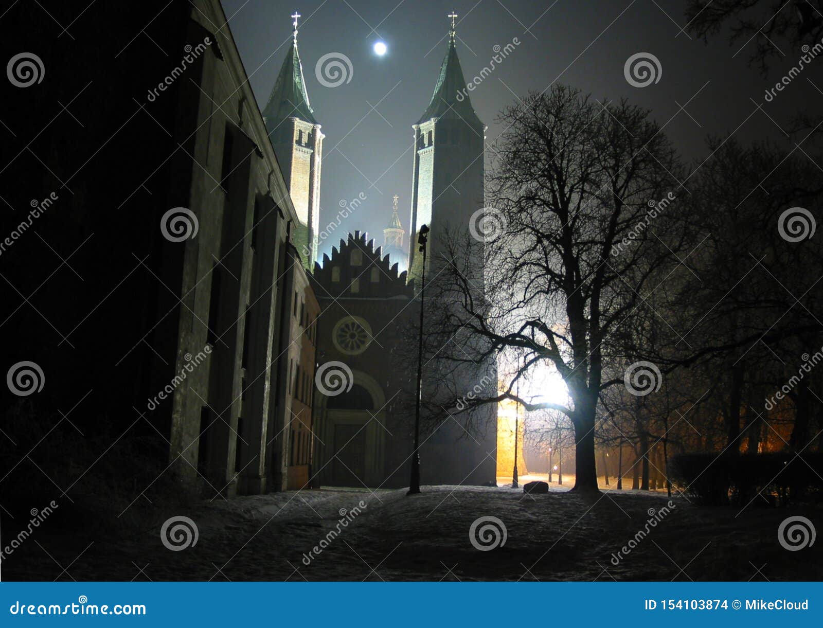 mysterious gothic cathedral in plock poland at night by the moonlight. cathedral of the blessed virgin mary of masovia, in plock.