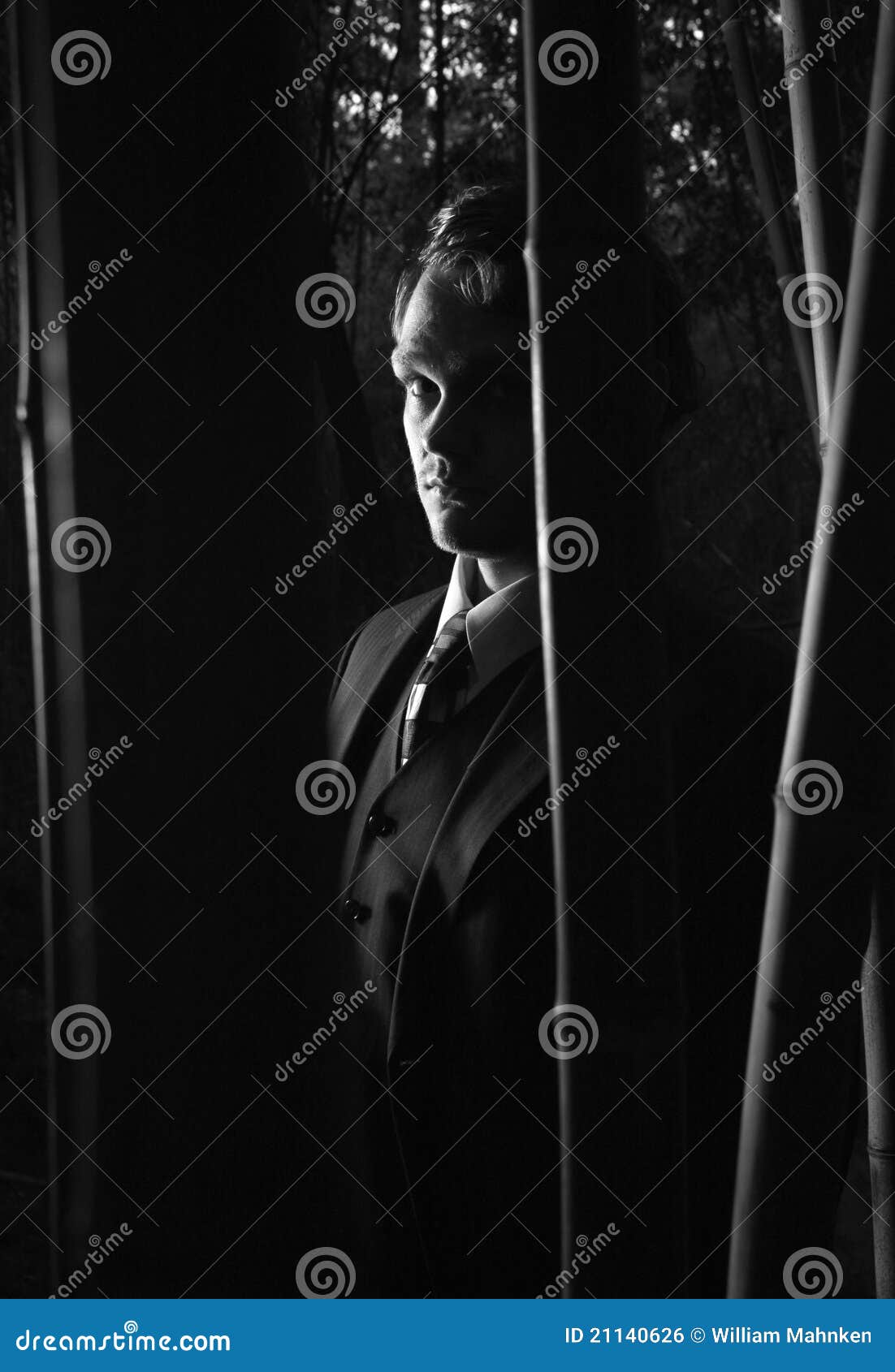 Mysterious Man In Shadows Black And White Stock Photo Image Of Black