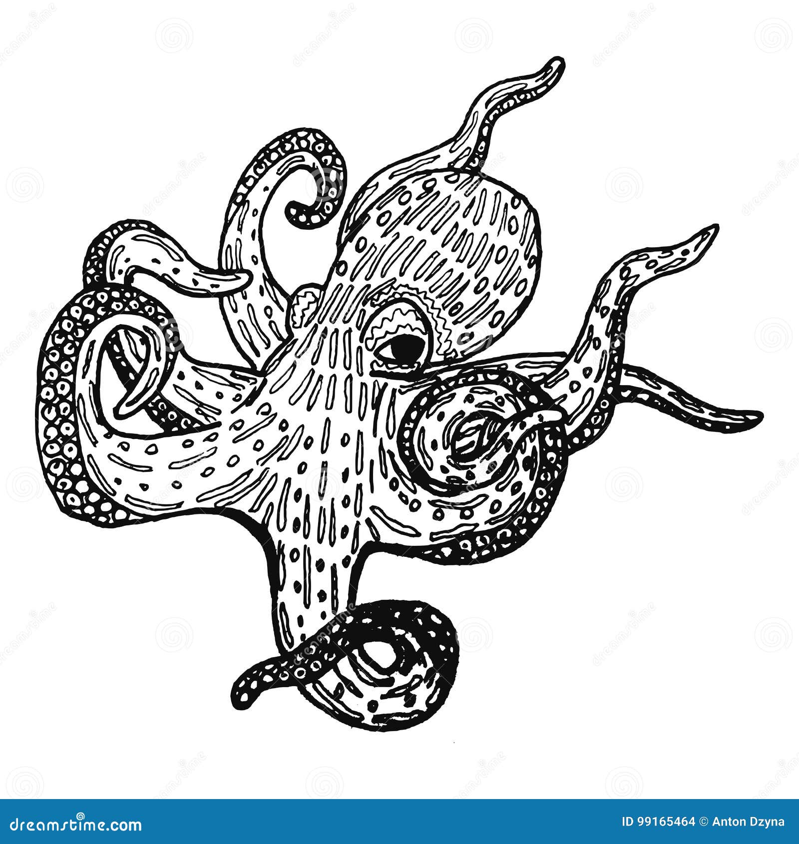 Mysterious Octopus Sketch Illustration in Black and White Stock Vector ...