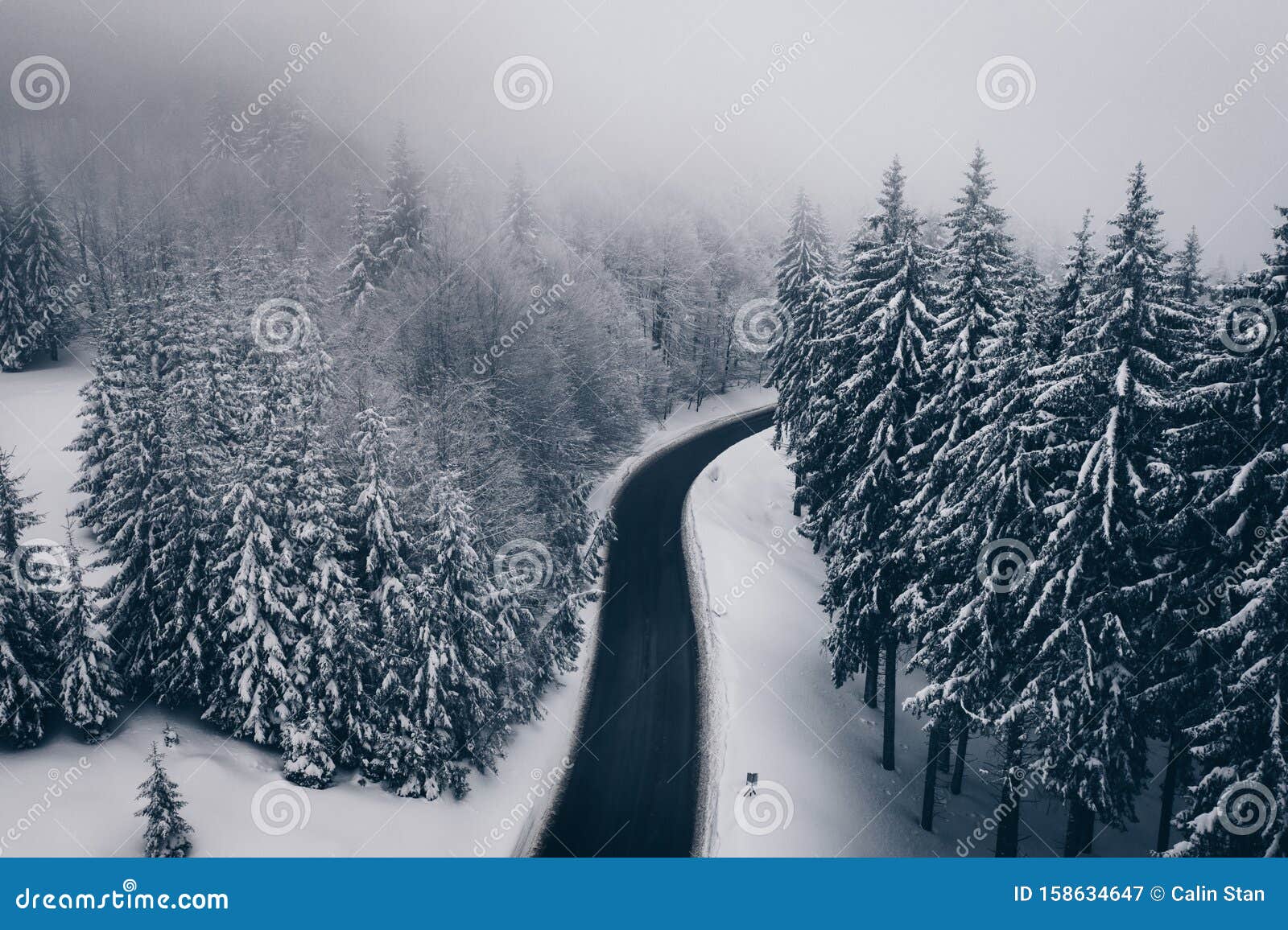 mysterious winter road in the forest. aerial view the a winding mountain road at cheia, romania
