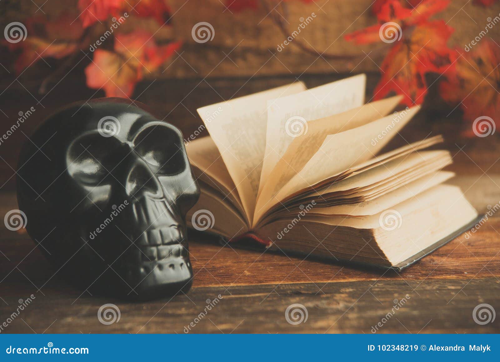 Still Life Art Photography On Human Skull Skeleton With Book Omn