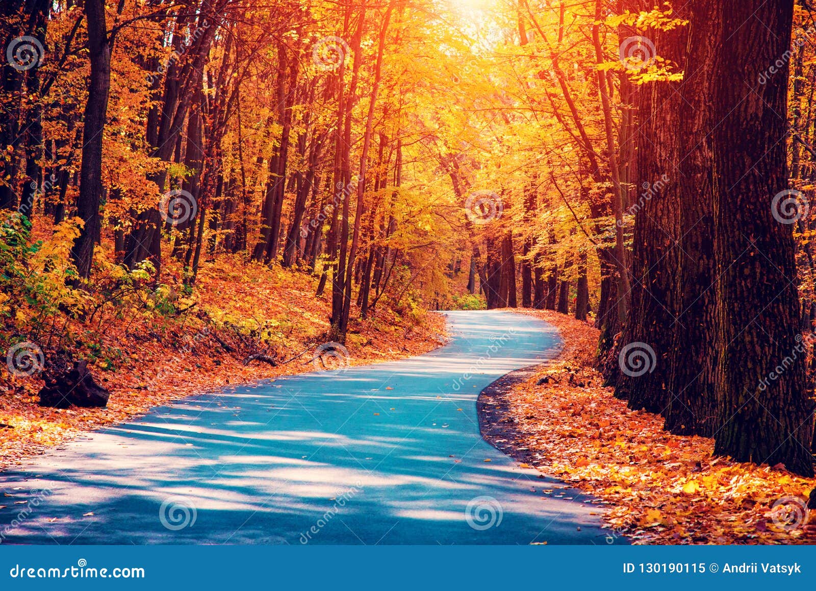 Mystic Charming Enchanting Landscape with a Road in the Autumn F Stock