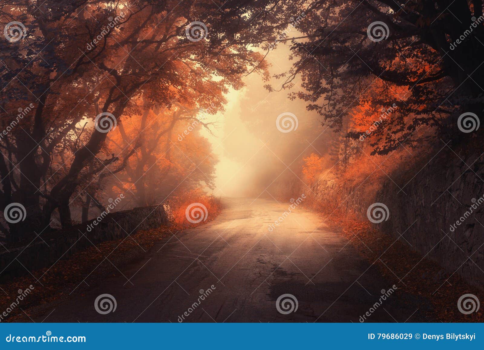 mystical autumn red forest with road in fog