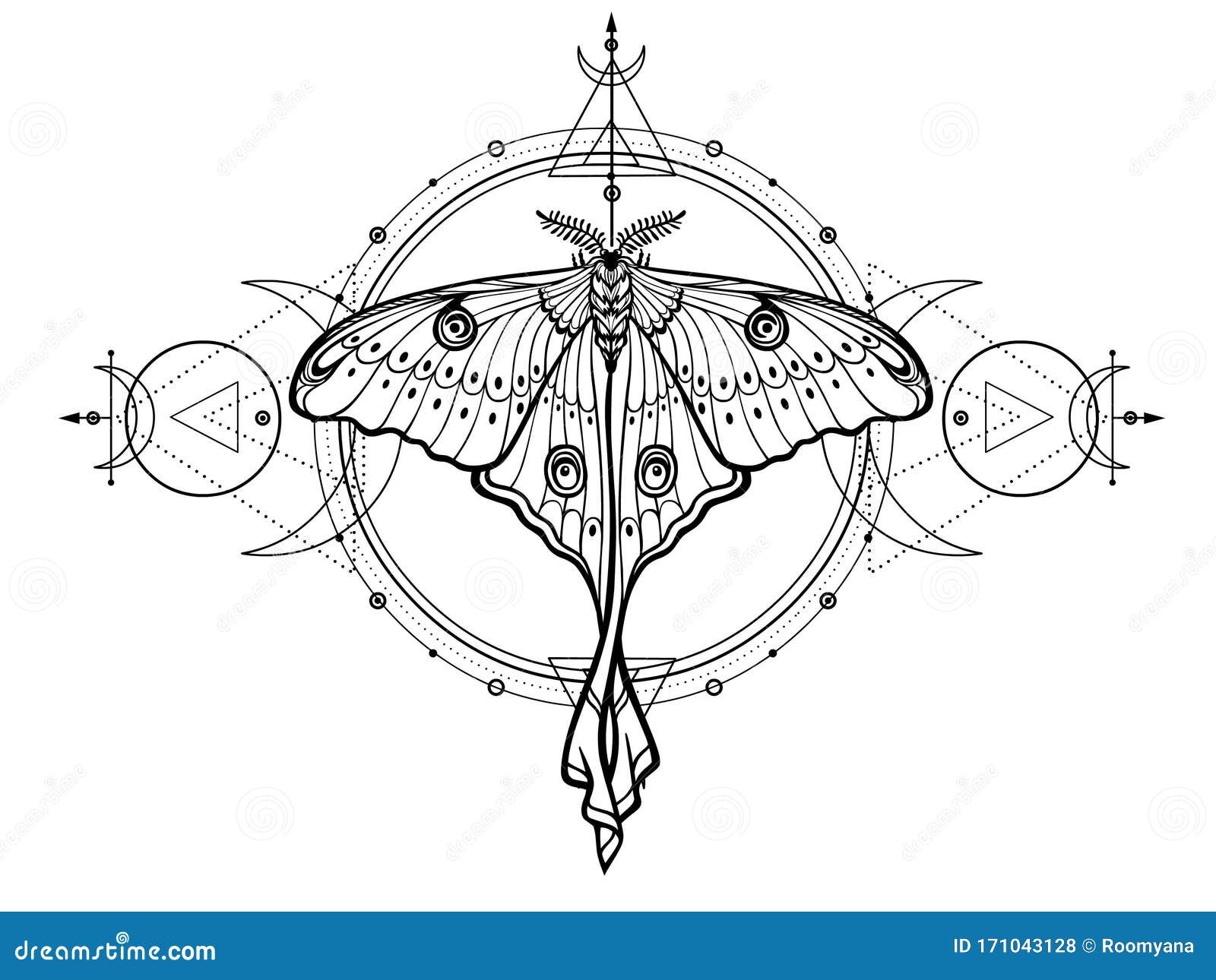 mystical drawing: tropical butterfly, sacred geometry, moon phases, energy circles.
