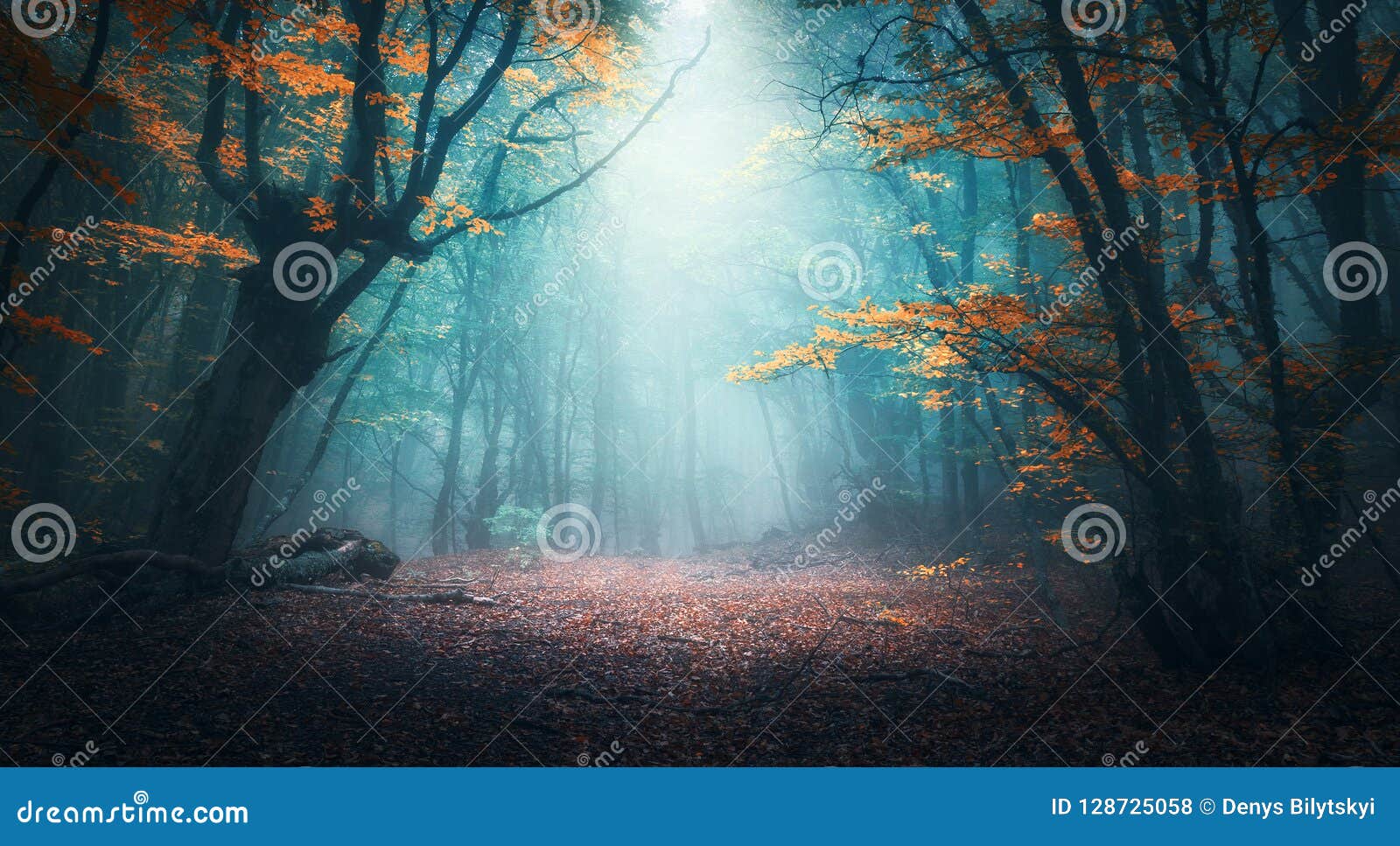 mystical forest in blue fog in autumn. colorful landscape