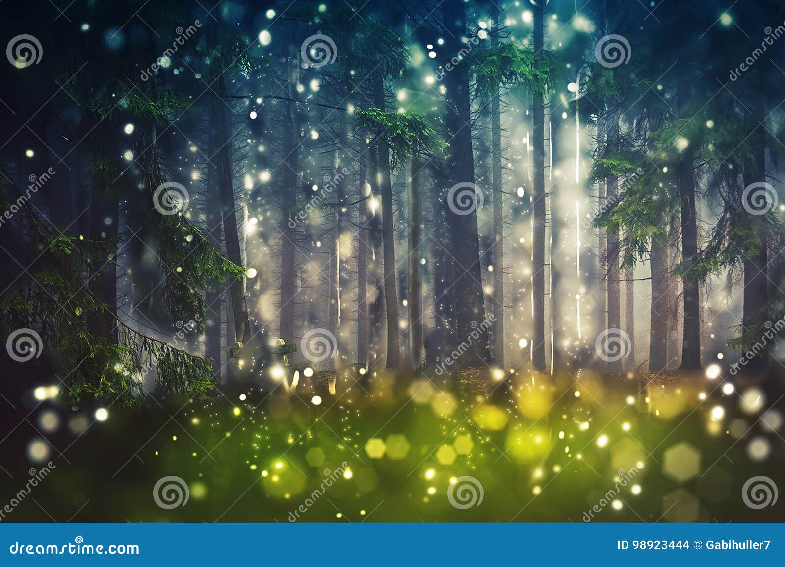 forest trees, wood glade - mystic, bokeh, lens flares, camera blur - sunlight