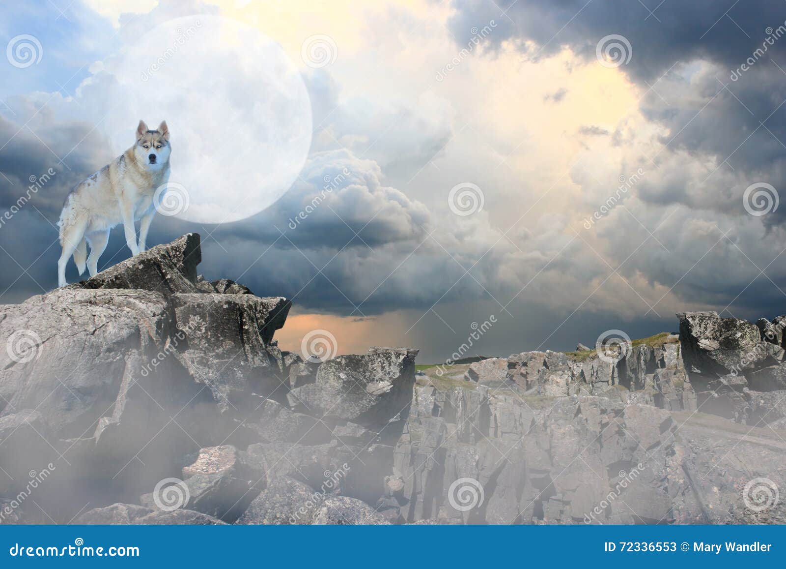 Mystischer Wolf Stockbild Bild Von Wolf Mystischer