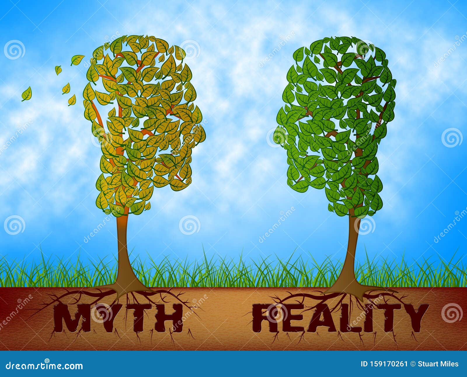 Myth Versus Reality Words Showing False Mythology Vs Real Life - 3d