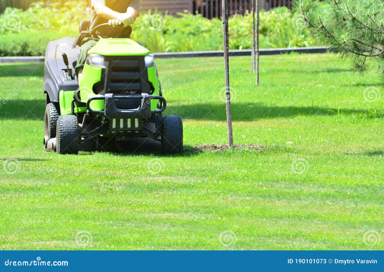 Máquina De Cortadora De Césped Para Cortar Pasto Imagen de archivo