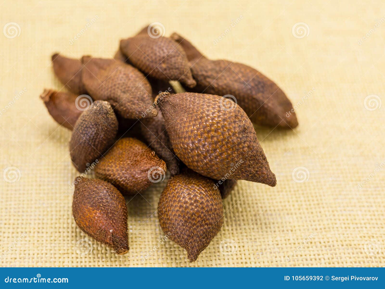 Många läckra frukter av ormen i högen för närbild för textilgulingbakgrund av brun frukt Asiana