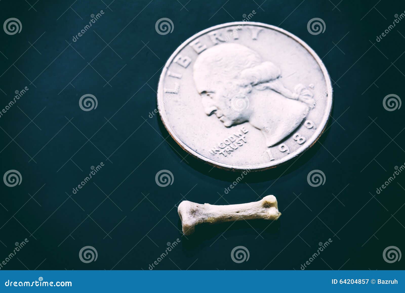 Münze und sehr kleiner Knochen. Abstraktes Foto Reichtum und Hunger