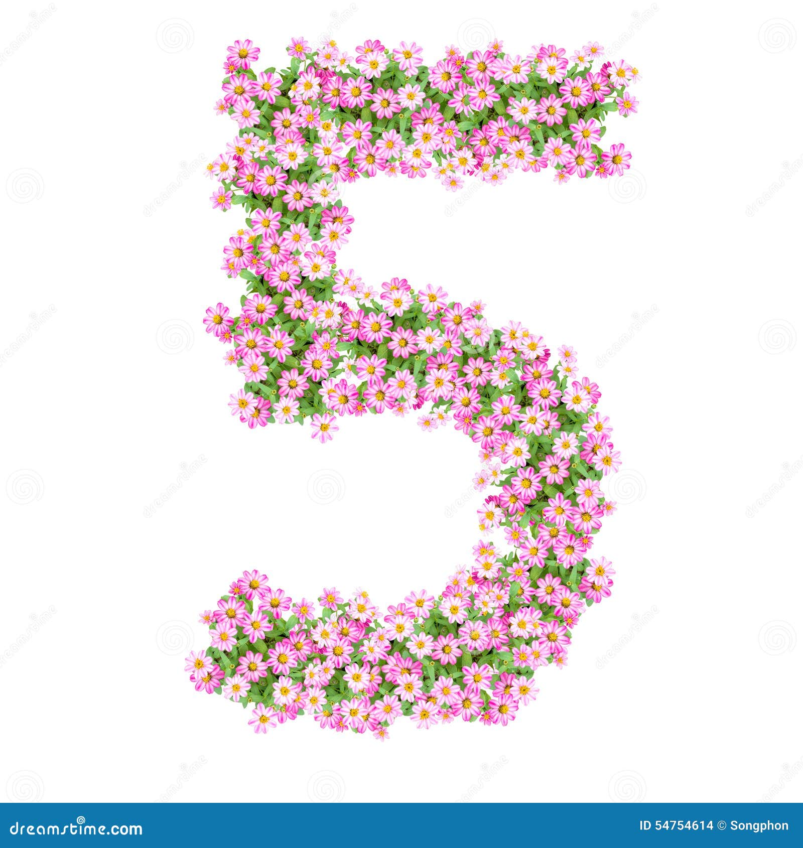 Números 5 de las flores stock de ilustración. Ilustración de colorido -  54754614, image size:1600x1690